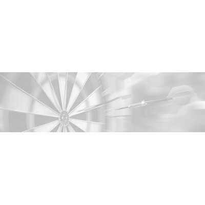 Steeldarts